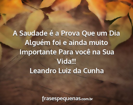 Leandro Luiz da Cunha - A Saudade é a Prova Que um Dia Alguém foi e...