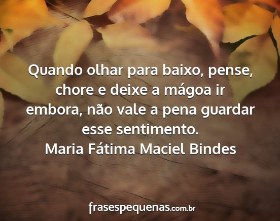 Maria Fátima Maciel Bindes - Quando olhar para baixo, pense, chore e deixe a...