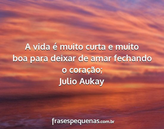 Julio Aukay - A vida é muito curta e muito boa para deixar de...