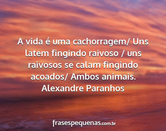 Alexandre Paranhos - A vida é uma cachorragem/ Uns latem fingindo...