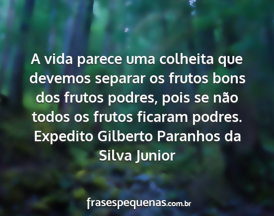 Expedito Gilberto Paranhos da Silva Junior - A vida parece uma colheita que devemos separar os...