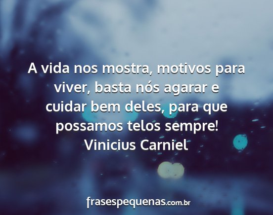 Vinicius Carniel - A vida nos mostra, motivos para viver, basta nós...