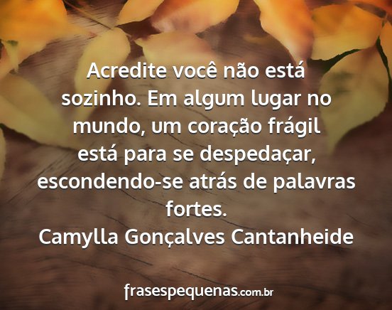 Camylla Gonçalves Cantanheide - Acredite você não está sozinho. Em algum lugar...