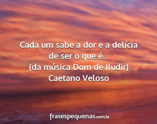 Caetano Veloso - Cada um sabe a dor e a delícia de ser o que...