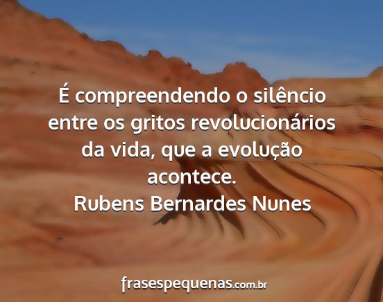 Rubens Bernardes Nunes - É compreendendo o silêncio entre os gritos...