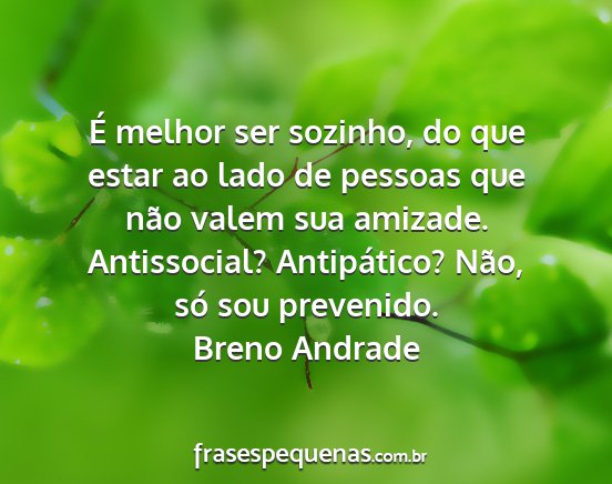 Breno Andrade - É melhor ser sozinho, do que estar ao lado de...