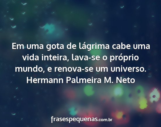 Hermann Palmeira M. Neto - Em uma gota de lágrima cabe uma vida inteira,...