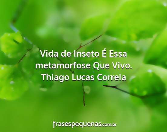 Thiago Lucas Correia - Vida de Inseto É Essa metamorfose Que Vivo....