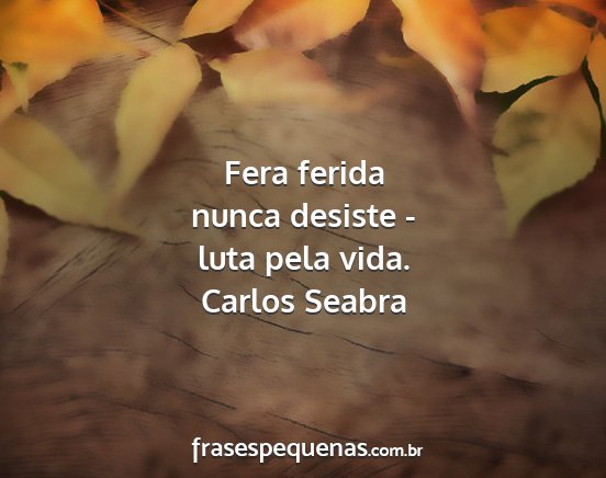 Carlos Seabra - Fera ferida nunca desiste - luta pela vida....