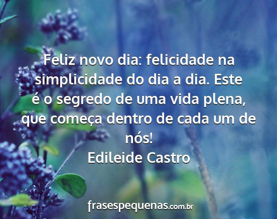 Edileide Castro - Feliz novo dia: felicidade na simplicidade do dia...