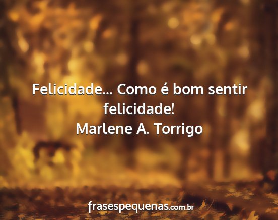 Marlene A. Torrigo - Felicidade... Como é bom sentir felicidade!...