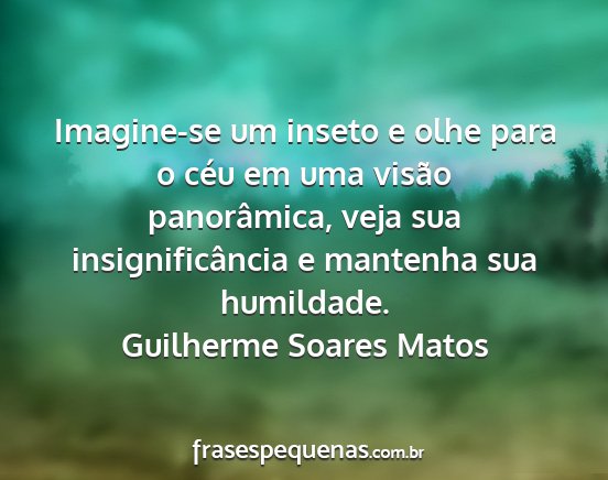Guilherme Soares Matos - Imagine-se um inseto e olhe para o céu em uma...