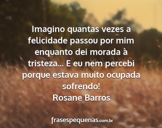 Rosane Barros - Imagino quantas vezes a felicidade passou por mim...