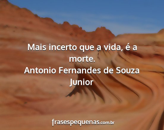 Antonio Fernandes de Souza Junior - Mais incerto que a vida, é a morte....