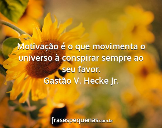 Gastão V. Hecke Jr. - Motivação é o que movimenta o universo à...