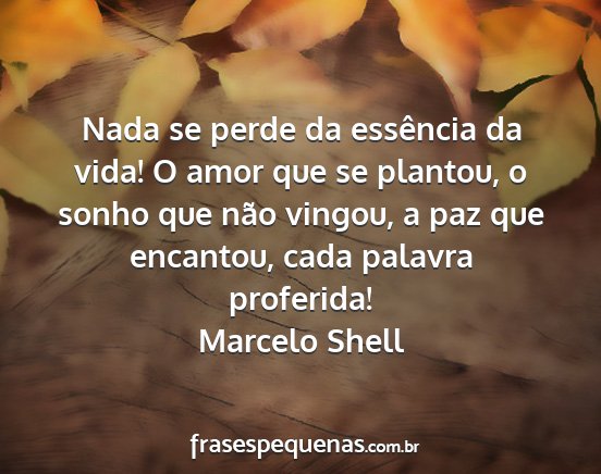 Marcelo Shell - Nada se perde da essência da vida! O amor que se...