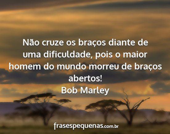 Bob Marley - Não cruze os braços diante de uma dificuldade,...