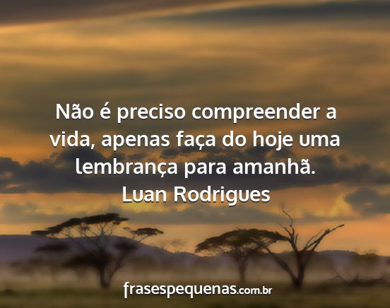 Luan Rodrigues - Não é preciso compreender a vida, apenas faça...