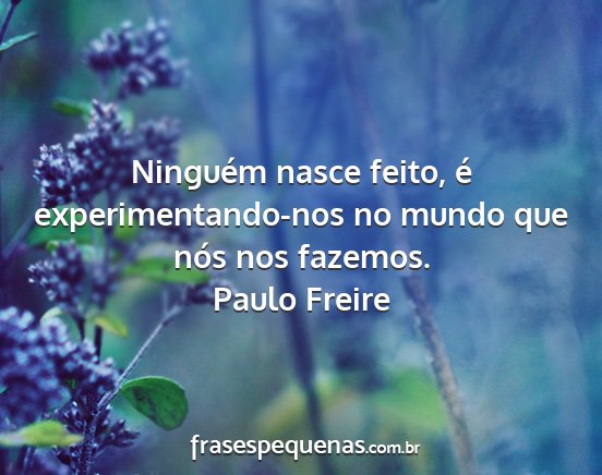 Paulo Freire - Ninguém nasce feito, é experimentando-nos no...