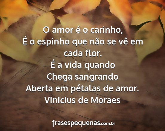 Vinicius de Moraes - O amor é o carinho, É o espinho que não se vê...