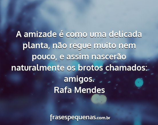 Rafa Mendes - A amizade é como uma delicada planta, não regue...