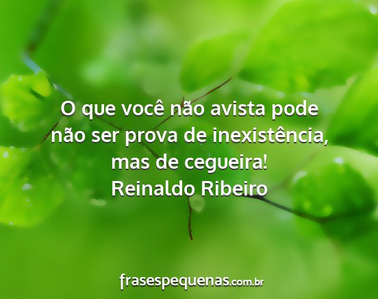 Reinaldo Ribeiro - O que você não avista pode não ser prova de...