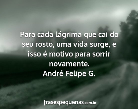 André Felipe G. - Para cada lágrima que cai do seu rosto, uma vida...