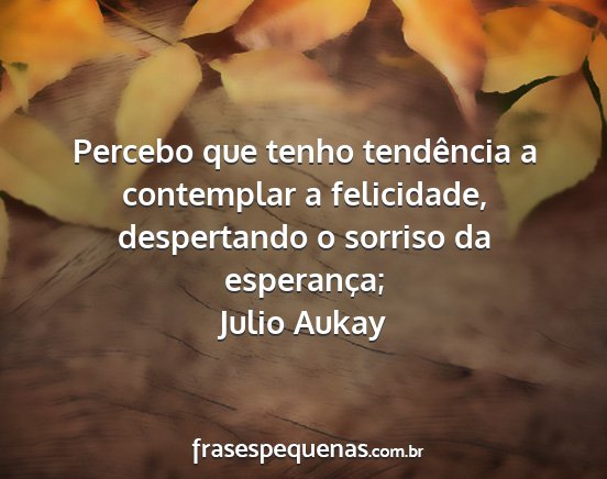Julio Aukay - Percebo que tenho tendência a contemplar a...