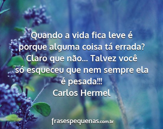 Carlos Hermel - Quando a vida fica leve é porque alguma coisa...