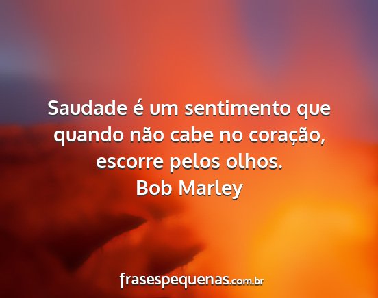 Bob Marley - Saudade é um sentimento que quando não cabe no...