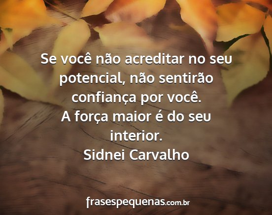 Sidnei Carvalho - Se você não acreditar no seu potencial, não...
