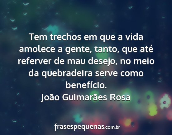 João Guimarães Rosa - Tem trechos em que a vida amolece a gente, tanto,...