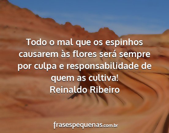 Reinaldo Ribeiro - Todo o mal que os espinhos causarem às flores...