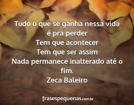 Zeca Baleiro - Tudo o que se ganha nessa vida é pra perder Tem...