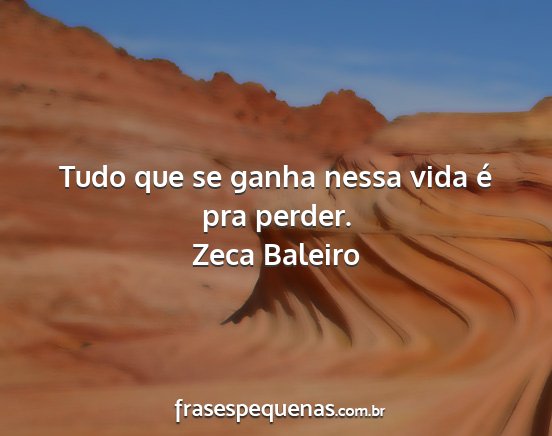 Zeca Baleiro - Tudo que se ganha nessa vida é pra perder....