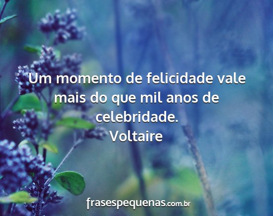 Voltaire - Um momento de felicidade vale mais do que mil...