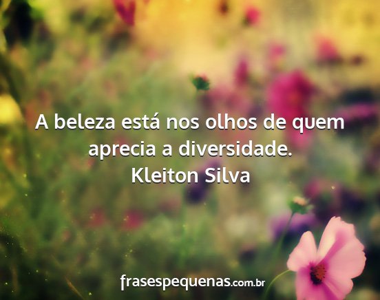 Kleiton Silva - A beleza está nos olhos de quem aprecia a...
