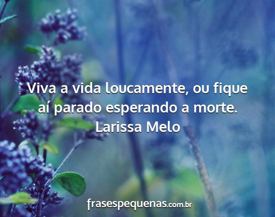 Larissa Melo - Viva a vida loucamente, ou fique aí parado...