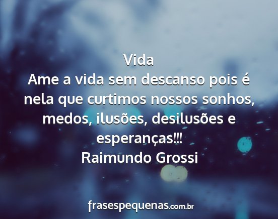 Raimundo Grossi - Vida Ame a vida sem descanso pois é nela que...