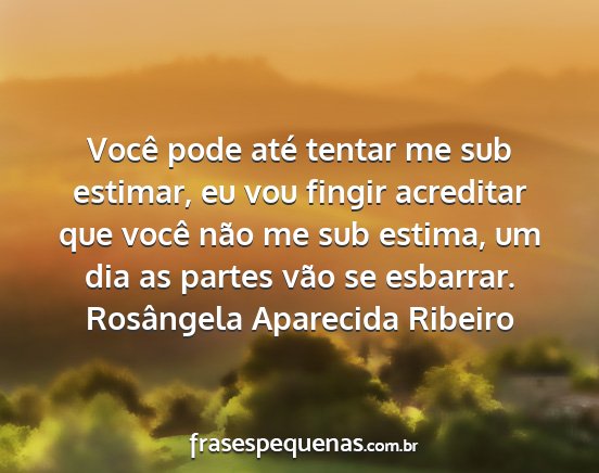 Rosângela Aparecida Ribeiro - Você pode até tentar me sub estimar, eu vou...