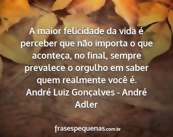 André Luiz Gonçalves - André Adler - A maior felicidade da vida é perceber que não...