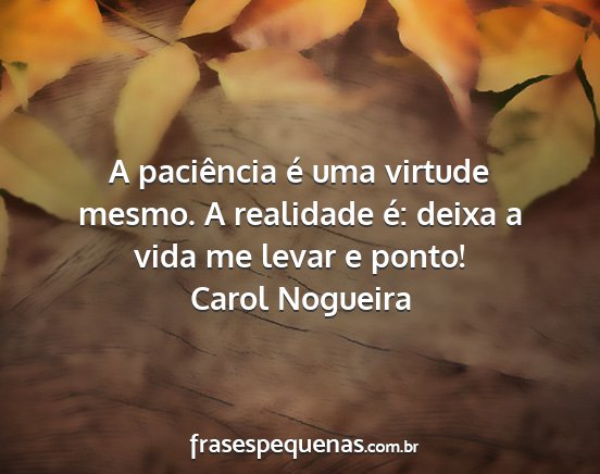 Carol Nogueira - A paciência é uma virtude mesmo. A realidade...