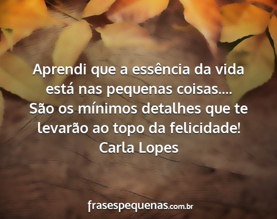 Carla Lopes - Aprendi que a essência da vida está nas...