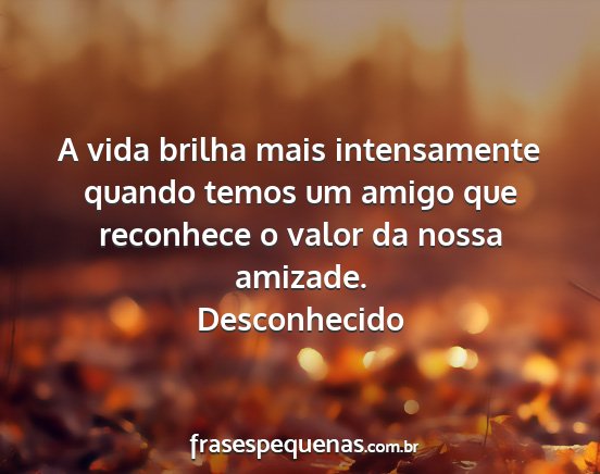 Desconhecido - A vida brilha mais intensamente quando temos um...