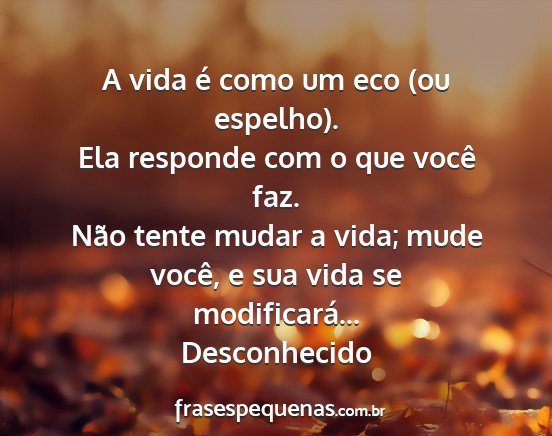 Desconhecido - A vida é como um eco (ou espelho). Ela responde...