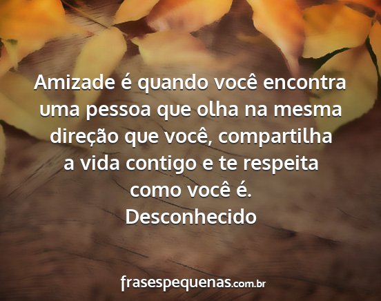 Desconhecido - Amizade é quando você encontra uma pessoa que...