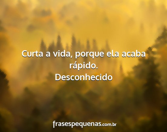 Desconhecido - Curta a vida, porque ela acaba rápido....