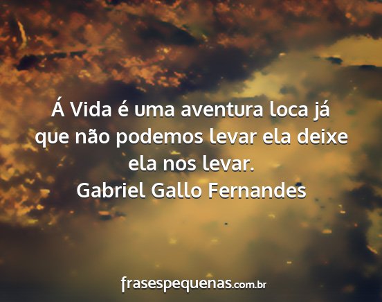 Gabriel Gallo Fernandes - Á Vida é uma aventura loca já que não podemos...
