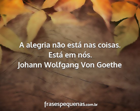 Johann Wolfgang Von Goethe - A alegria não está nas coisas. Está em nós....