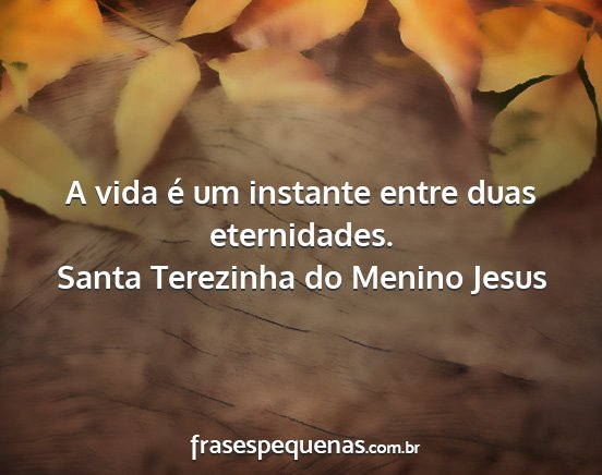 Santa Terezinha do Menino Jesus - A vida é um instante entre duas eternidades....